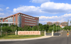 注：本文部门内源